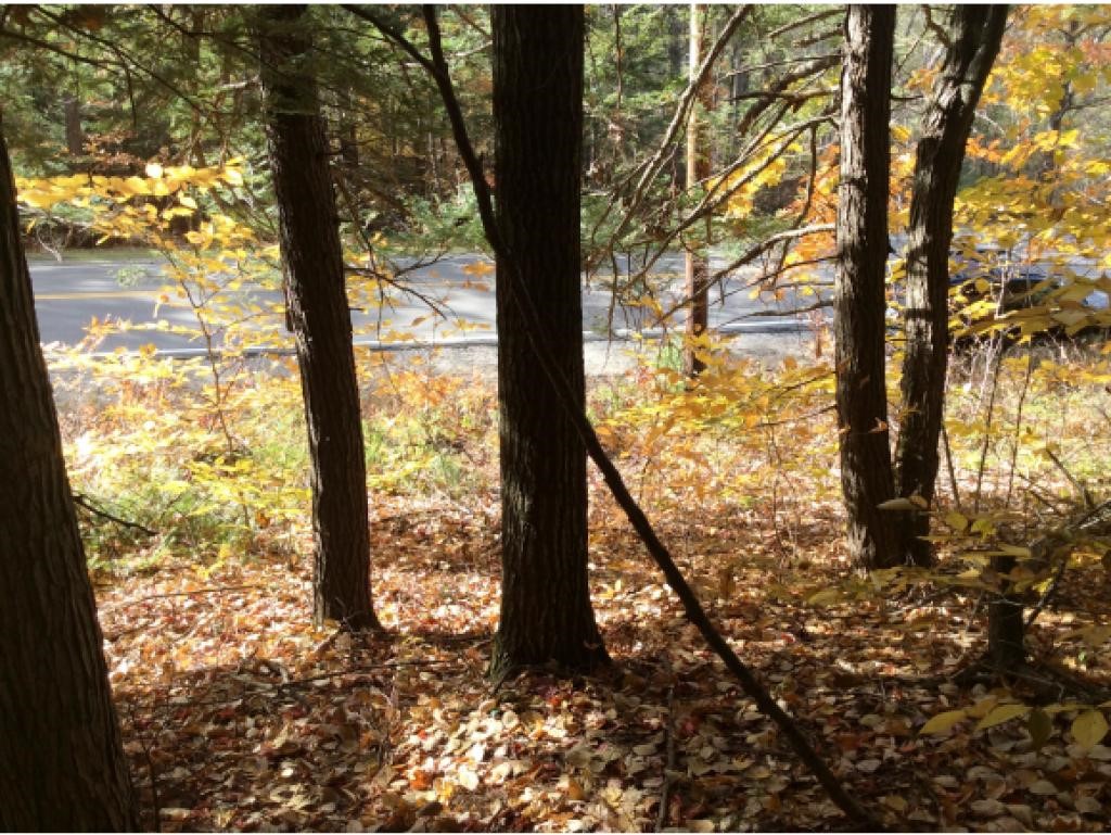 6 Eaton Road Center Conway, NH 03813 - Photo 6 of 6
