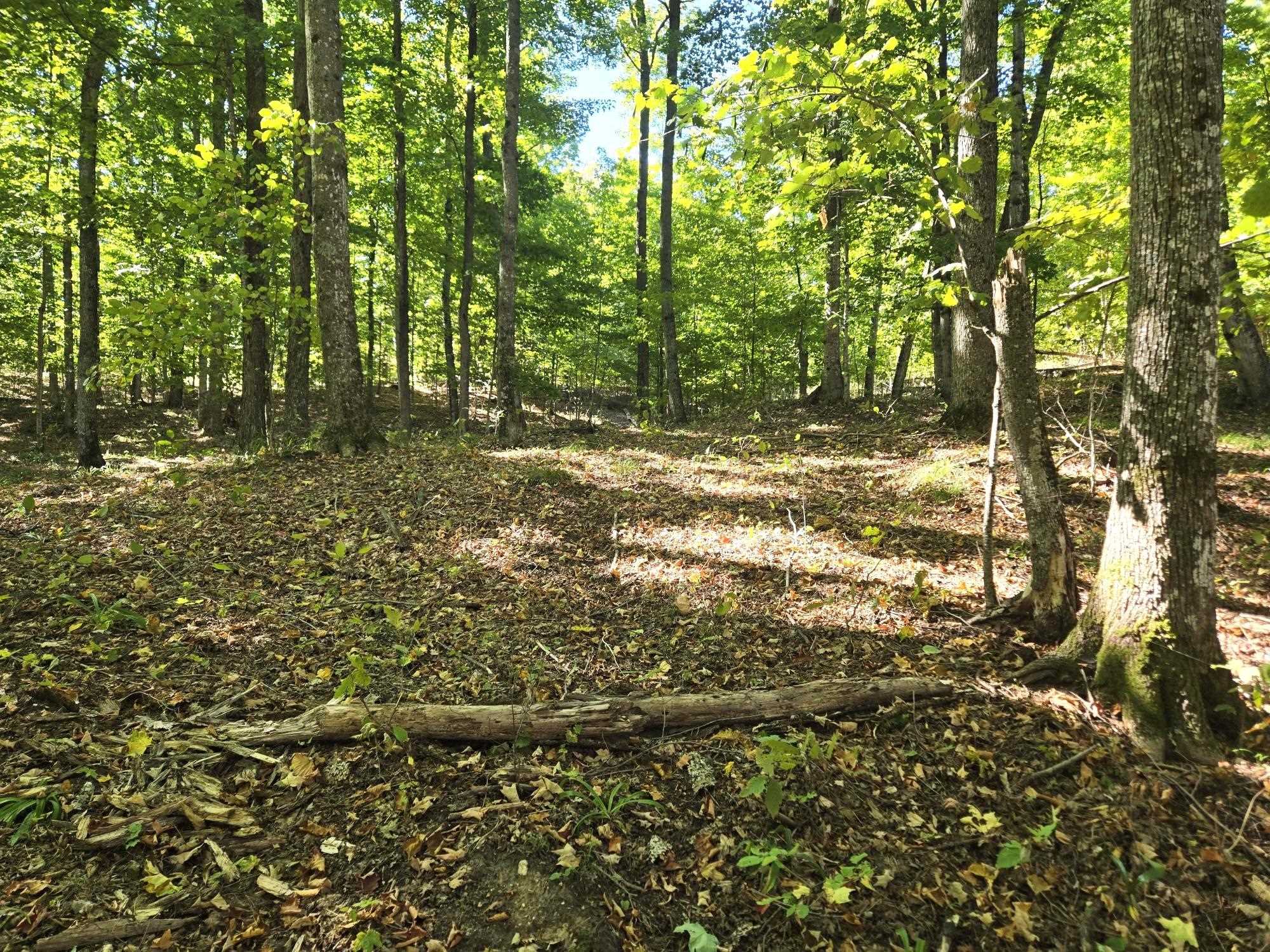 3 Heather Ridge Trail Beulah, MI 49617 - Photo 4 of 8