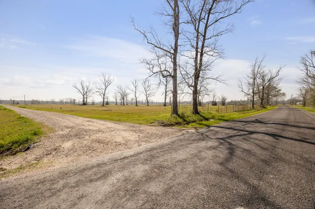 a view of a yard with swimming pool