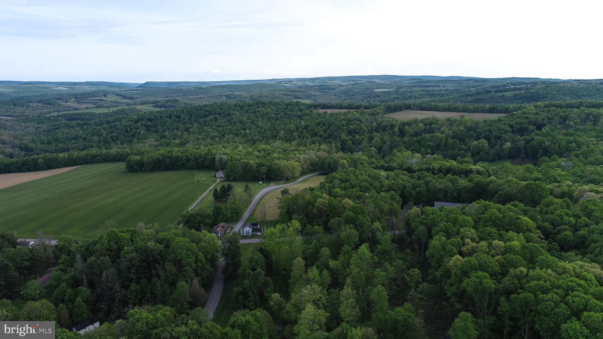 Greengables Road Friendsville, MD 21531 - Photo 12 of 18 a view of a city with lush green forest