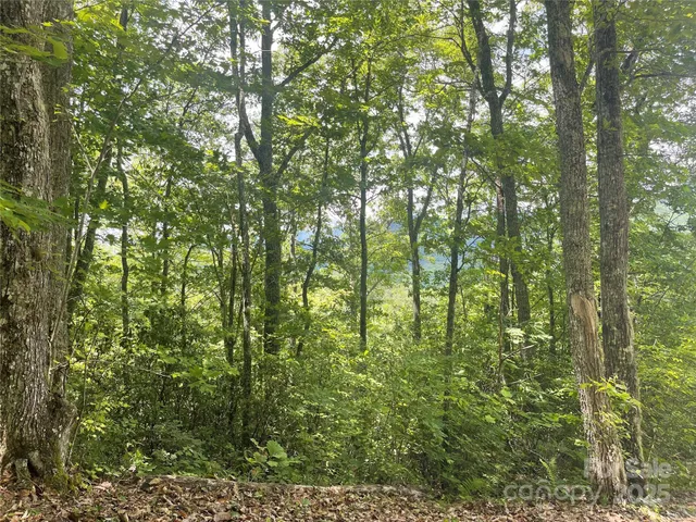 a backyard of a house with lots of trees