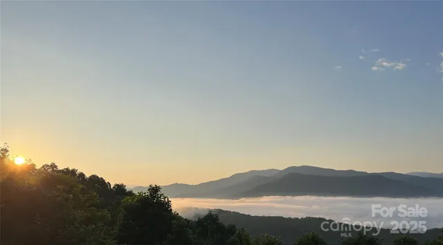 a view of a sky with a tree in the background