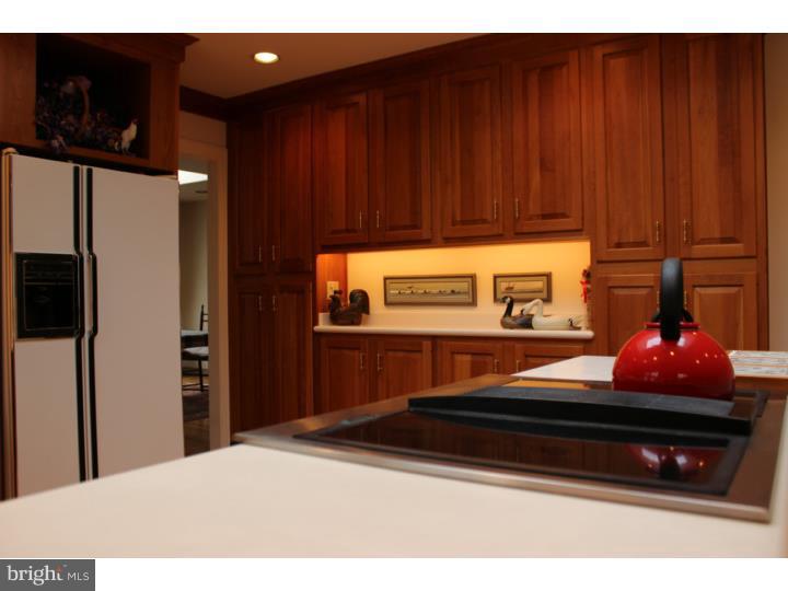 2523 Hill Road Green Lane, PA 18054 - Photo 14 of 25 Kitchen