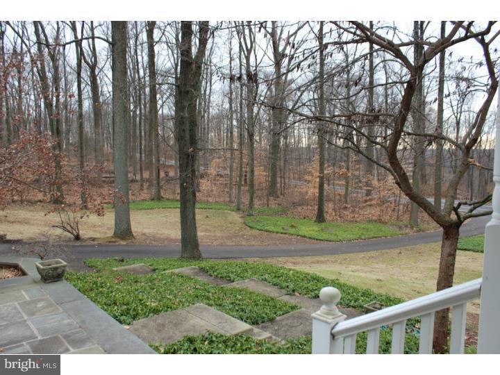 2523 Hill Road Green Lane, PA 18054 - Photo 3 of 25 View from Front Door