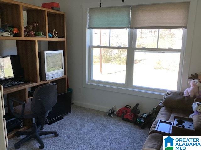 16058 Highway 11 Springville, AL 35146 - Photo 24 of 36