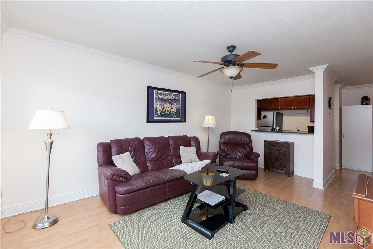 3000 July Street, Unit 3324 Baton Rouge, LA 70802 - Photo 3 of 25 Living Room