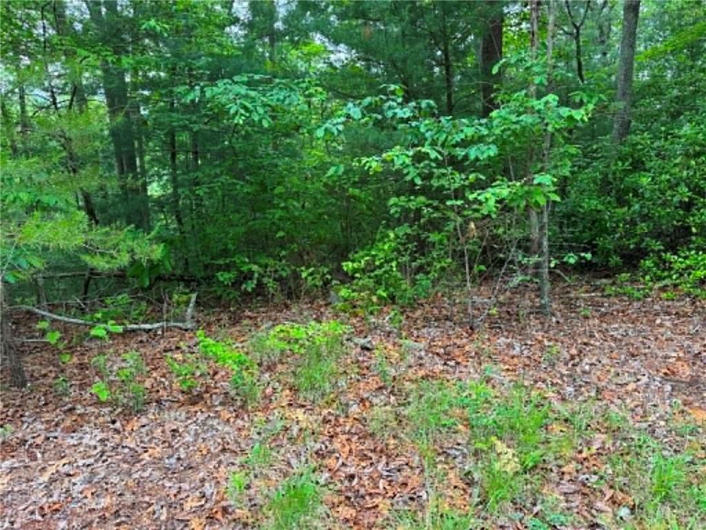 1674 A Hunter Drive Ranger, GA 30734 - Photo 5 of 25 a big yard with lots of green space and deers