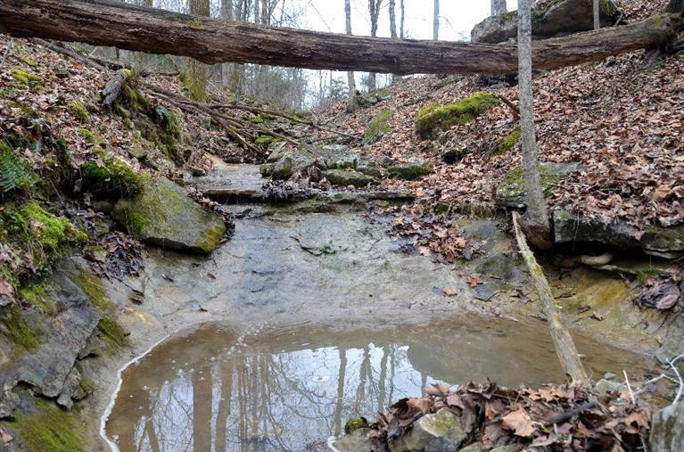 1709 Macedonia Road Irvine, KY 40336 - Photo 78 of 87 This creek is largely fed by a natural s