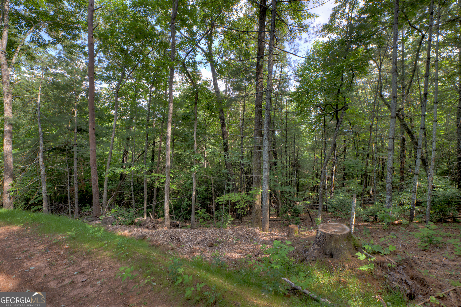 0 Sugar Creek Road Blue Ridge, GA 30513 - Photo 12 of 13