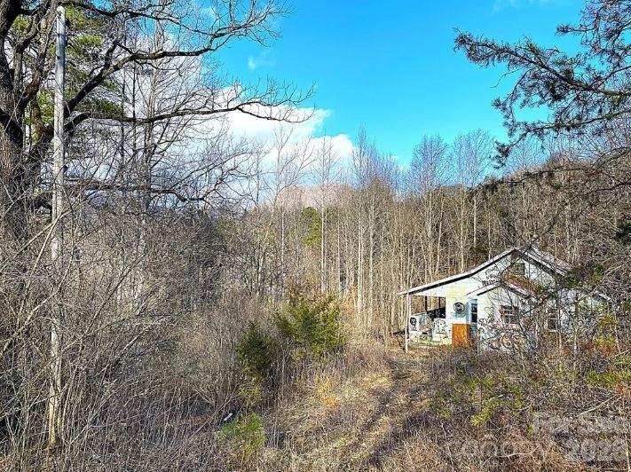 1141 Monteith Gap Road Cullowhee, NC 28723 - Photo 1 of 3