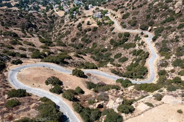 a view of a forest with a tree