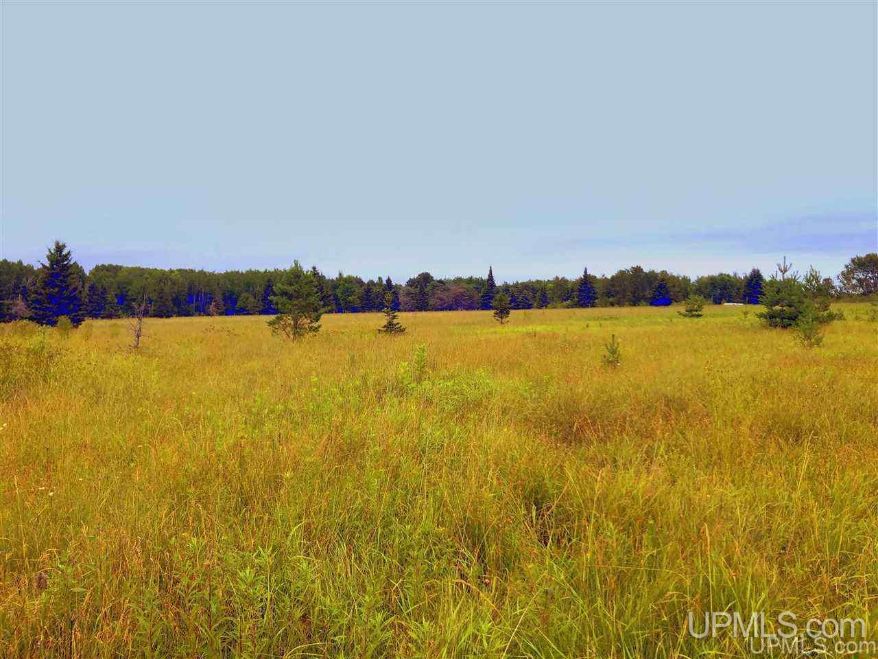 4688 12th Road Escanaba, MI 49829 - Photo 11 of 42