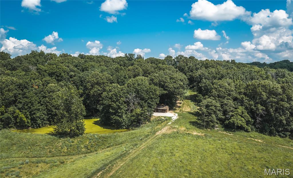 2924 Bess Hollow Road Kampsville, IL 62053 - Photo 85 of 96