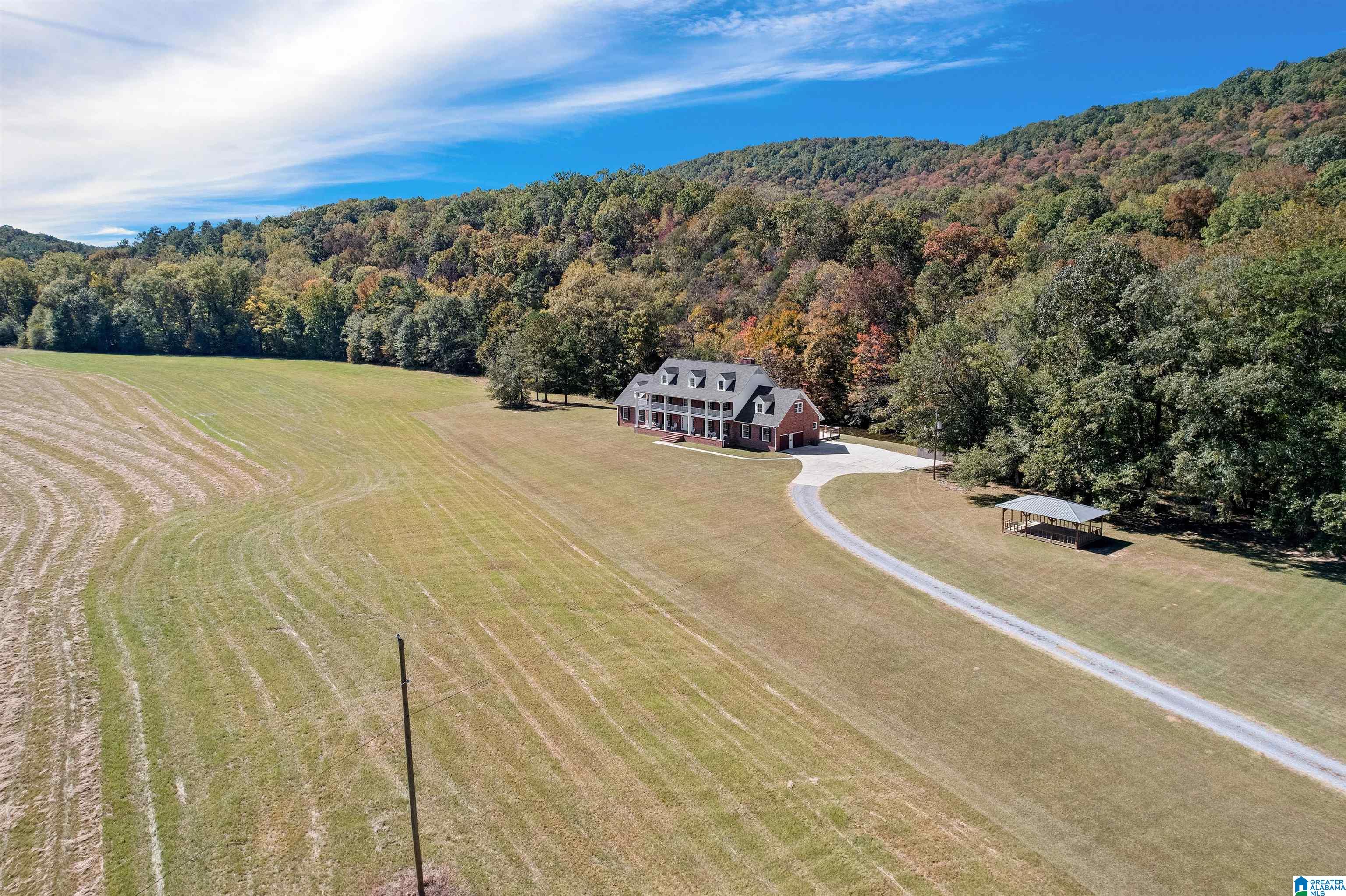 934 Fred Walker Road Oneonta, AL 35121 - Photo 6 of 78