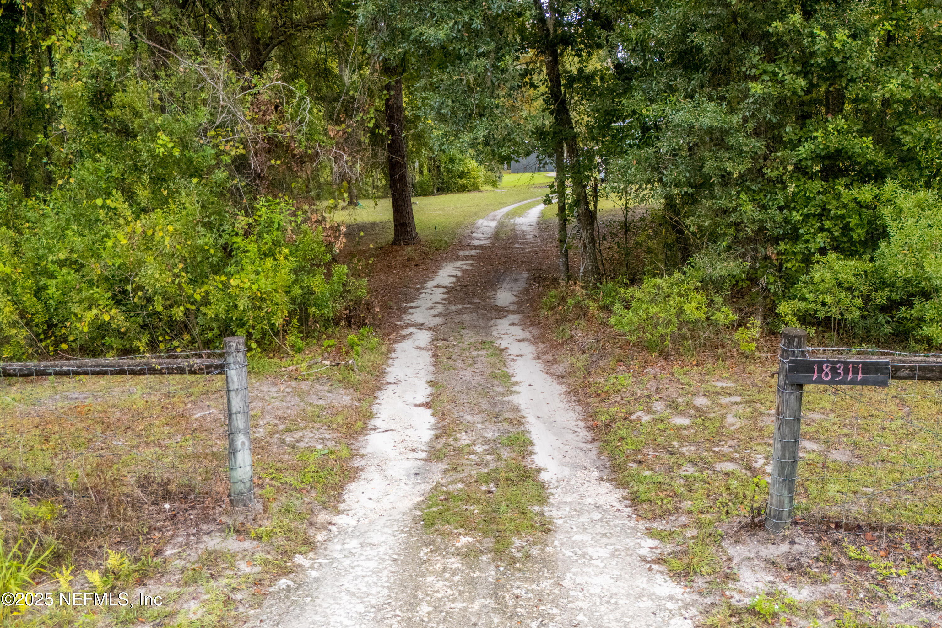 18311 Northeast 21 Street Gainesville, FL 32609 - Photo 63 of 80 a view of a yard with plants and large trees