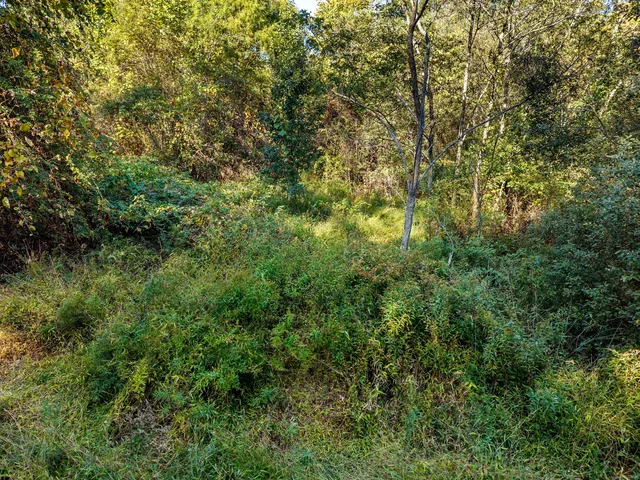 a view of outdoor space and trees
