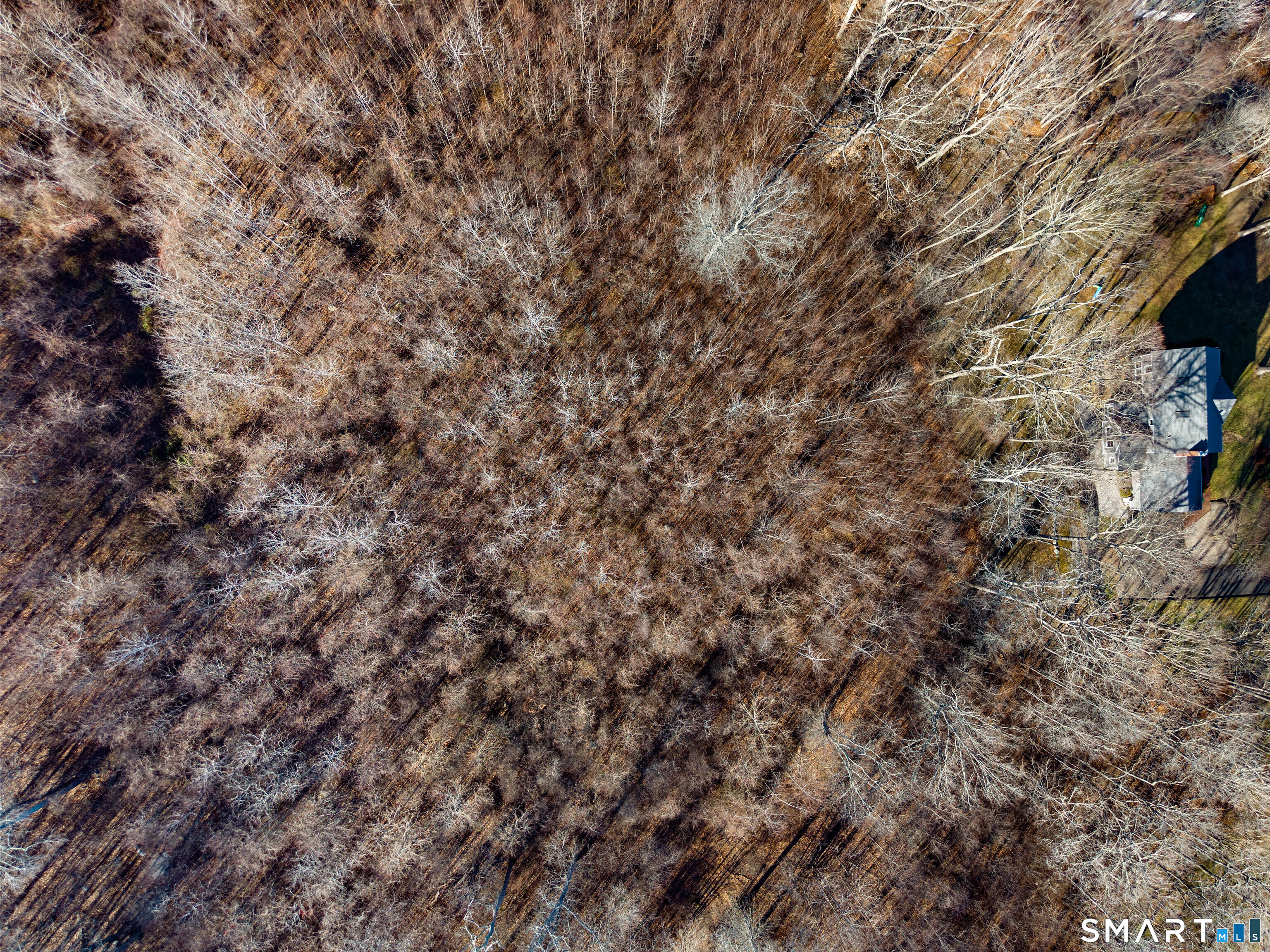 41 Bushy Hill Road Essex, CT 06442 - Photo 20 of 38 a view of a field