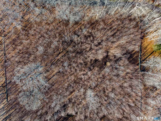 a green field with lots of trees