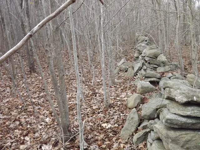 a view of a pathway with a yard