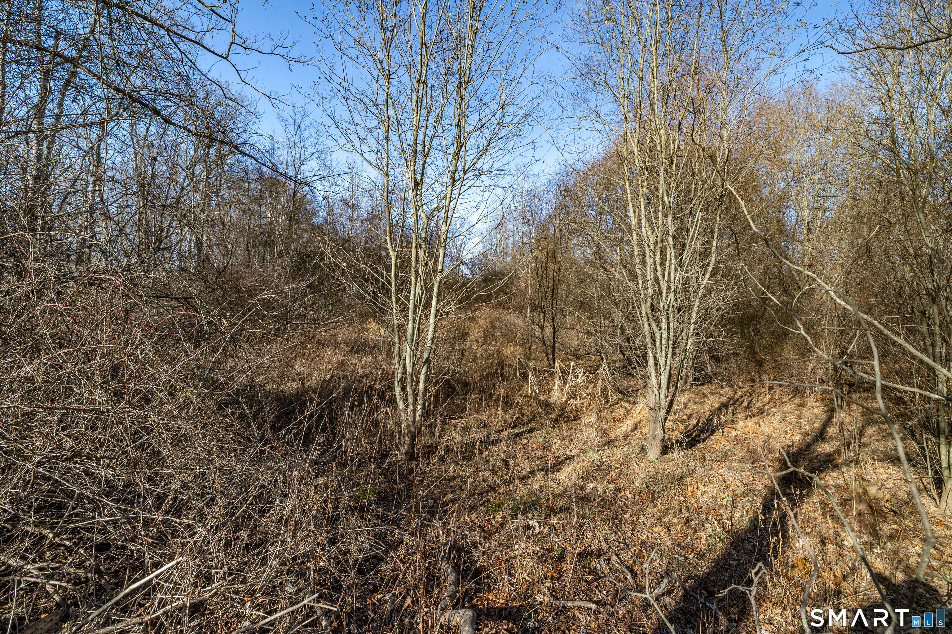 41 Bushy Hill Road Essex, CT 06442 - Photo 28 of 36 a view of a yard