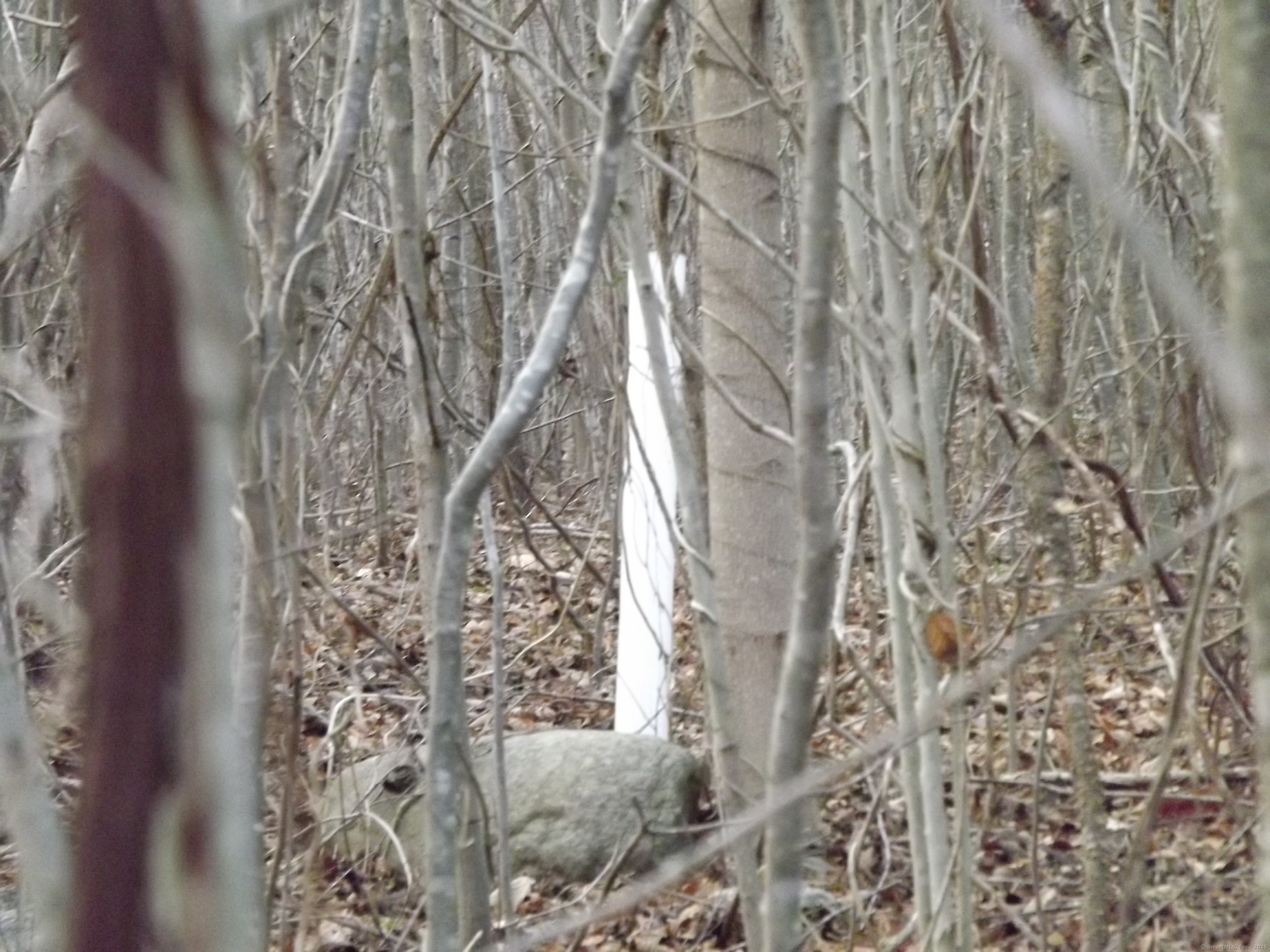 41 Bushy Hill Road Essex, CT 06442 - Photo 28 of 38