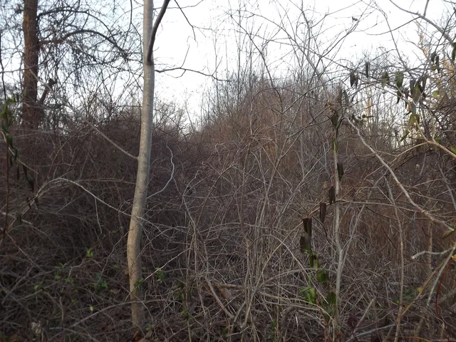 a view of a street with a house