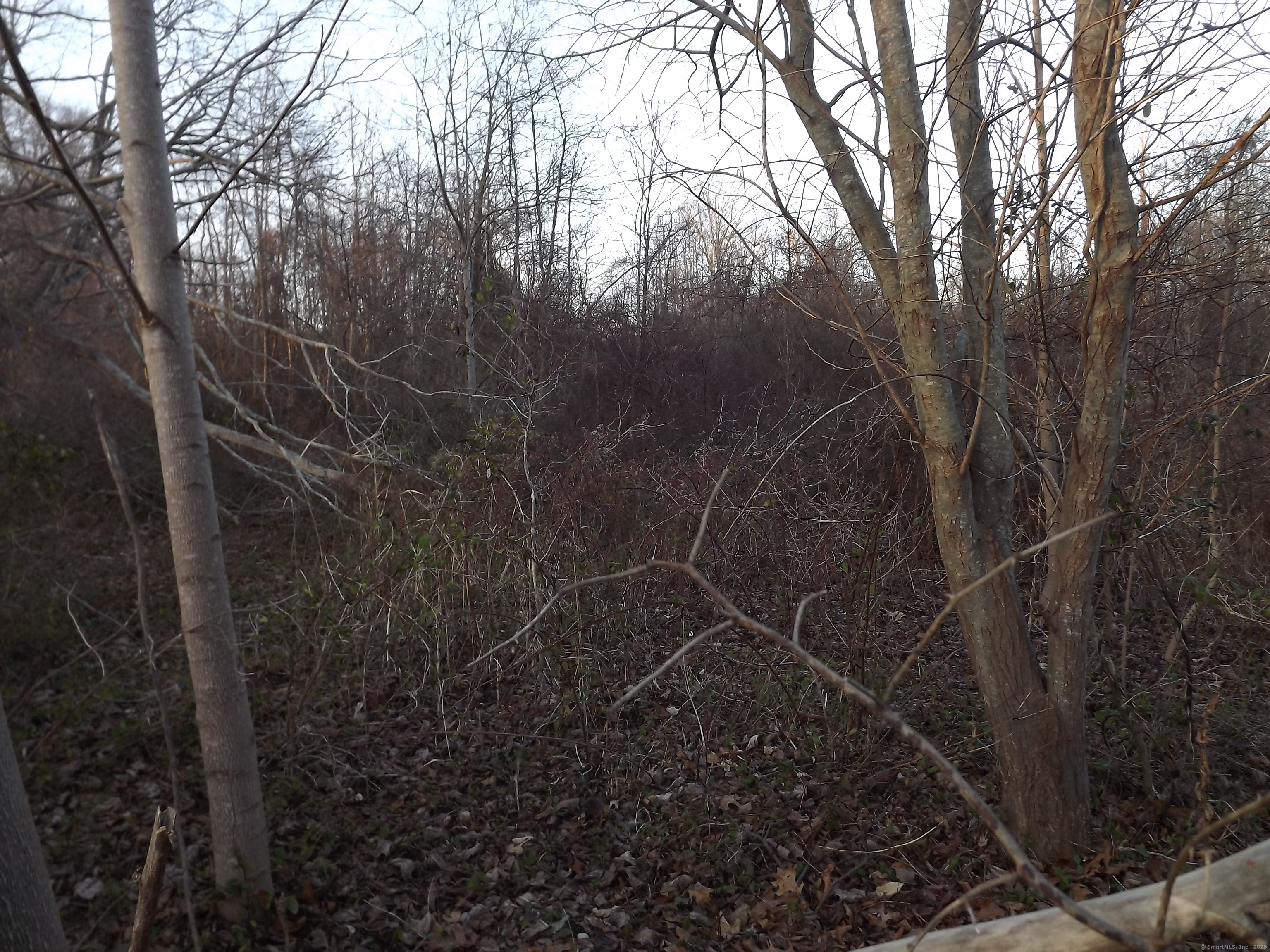 41 Bushy Hill Road Essex, CT 06442 - Photo 31 of 38 a view of a room with a trees