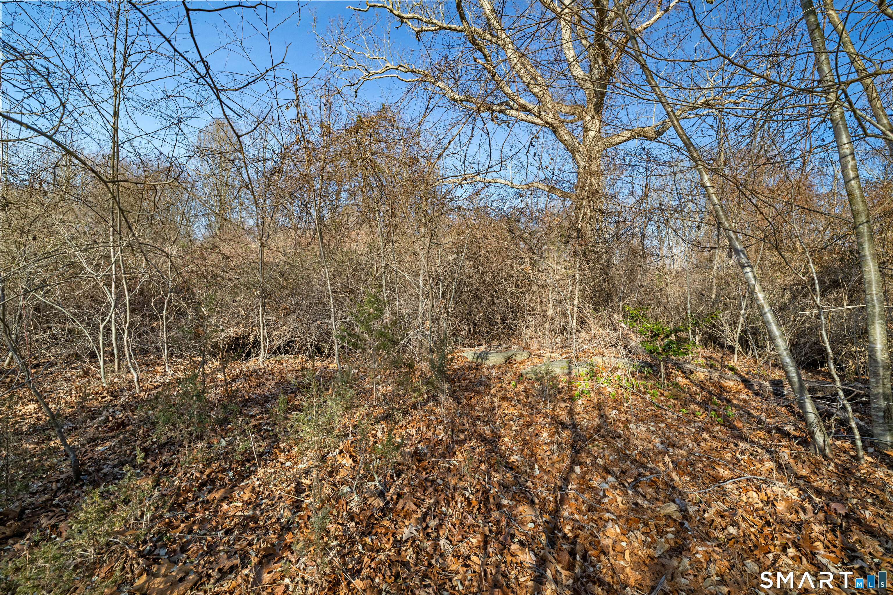 41 Bushy Hill Road Essex, CT 06442 - Photo 8 of 38 a view of a yard