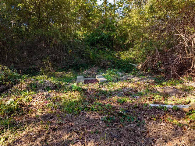 a view of a yard and a tree