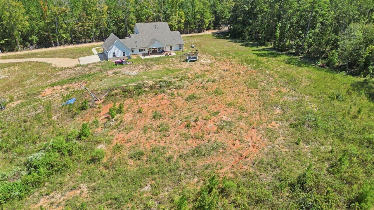 1151 Bushtown Shivers Road Pinola, MS 39149 - Photo 49 of 52 Gallery Image 49