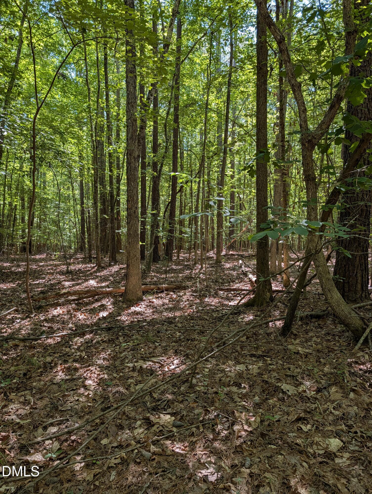 B2 Thelma Road Roanoke Rapids, NC 27870 - Photo 3 of 3
