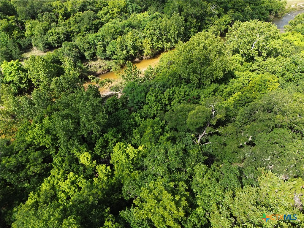 Tbd Lot 6 West Tbd Road Salado, TX 76571 - Photo 5 of 15