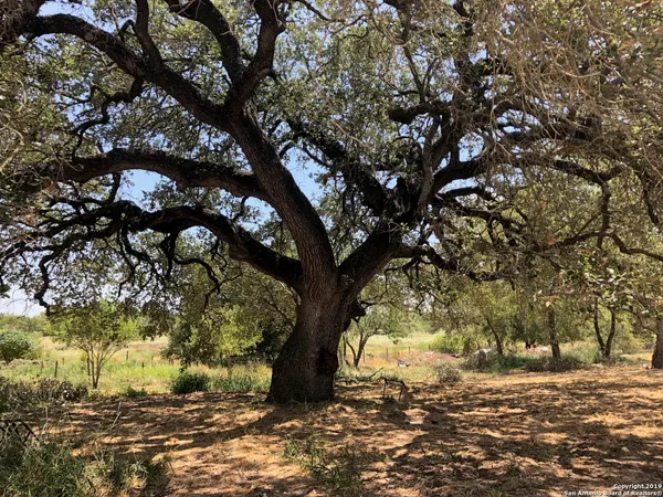 $275,000 | 324 Rooster Road, Pleasanton, TX 78064