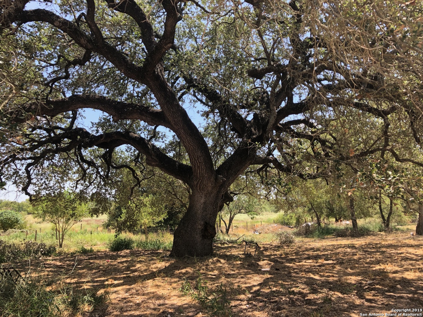 324 Rooster Road Pleasanton, TX 78064 - Photo 11 of 19