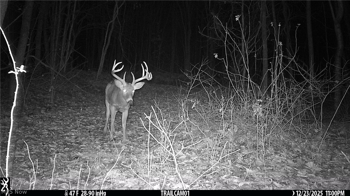 Marlott Run Road Kimbolton, OH 43749 - Photo 46 of 49