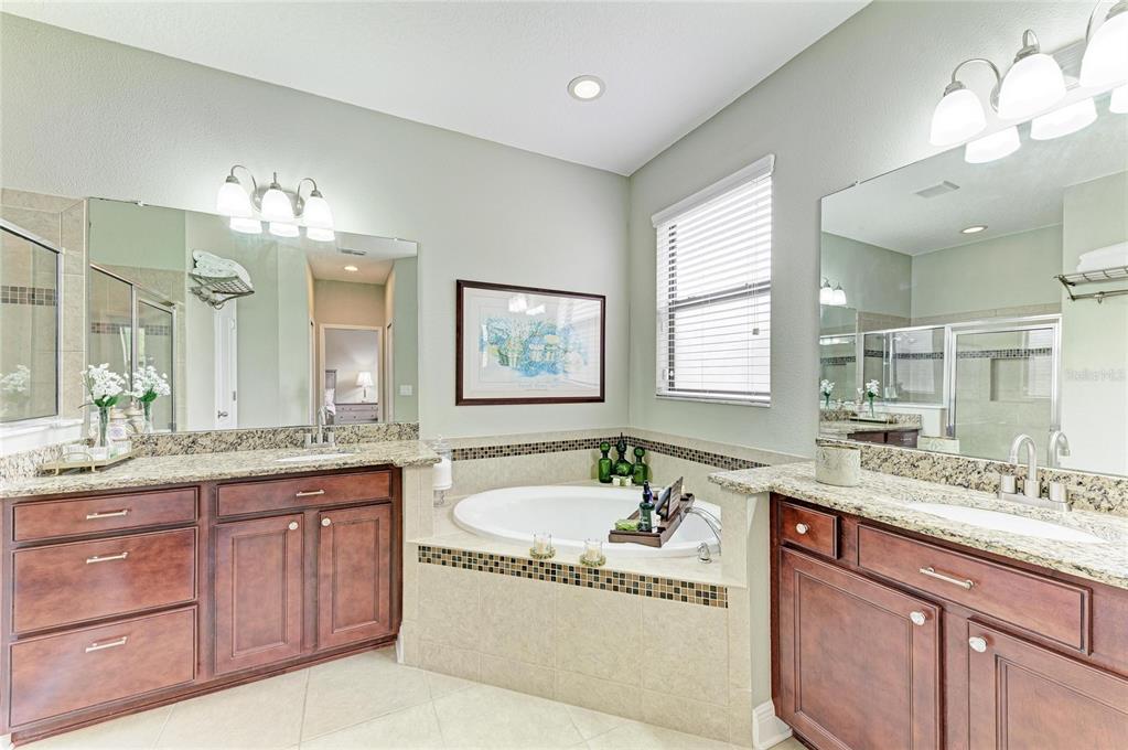 302 Cockle Shell Loop Apollo Beach, FL 33572 - Photo 36 of 75 a bathroom with a granite countertop bathtub sink double vanity and mirror