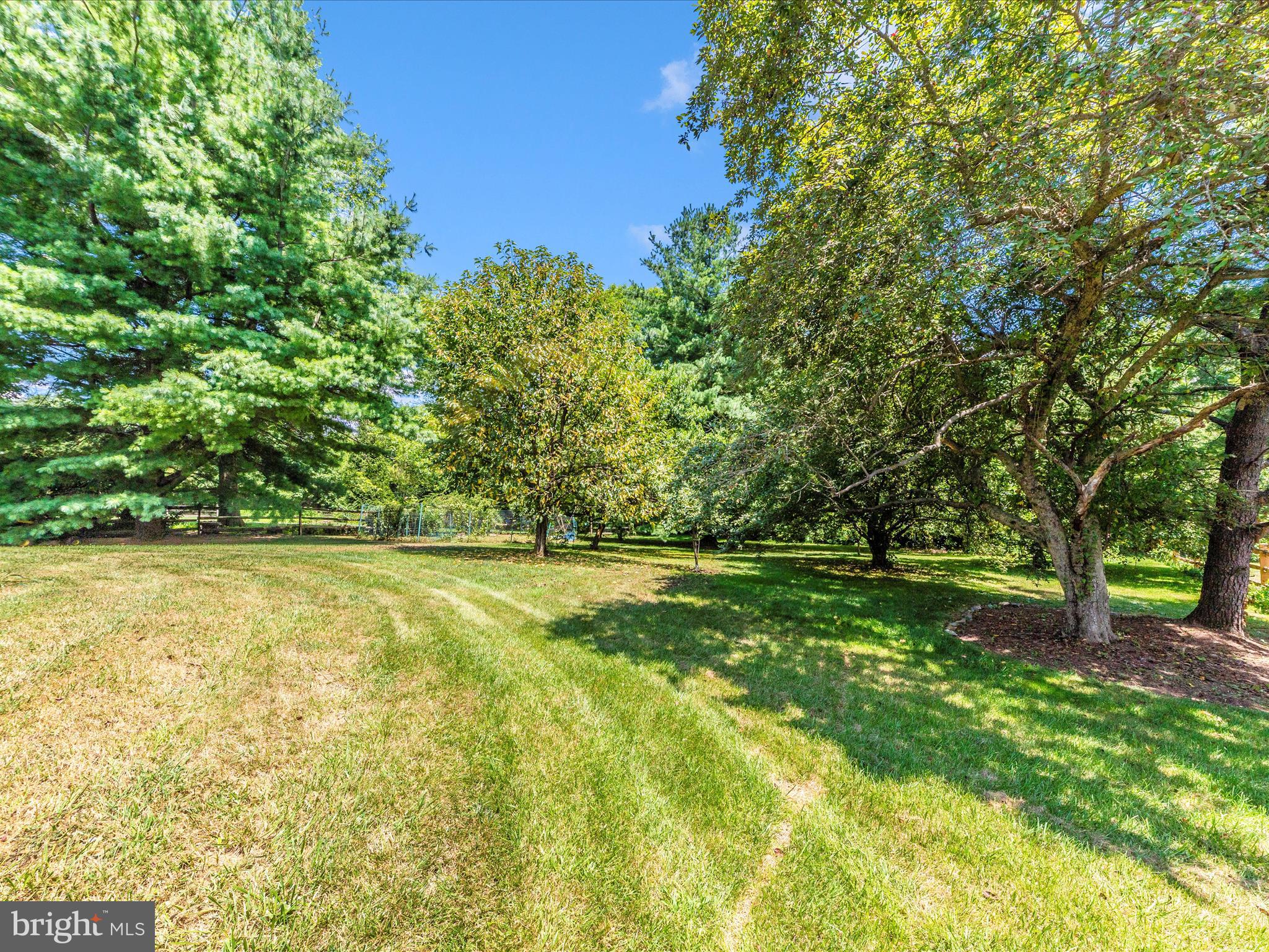 8395 Buckeye Court Frederick, MD 21702 - Photo 48 of 56 a view of a yard with a tree
