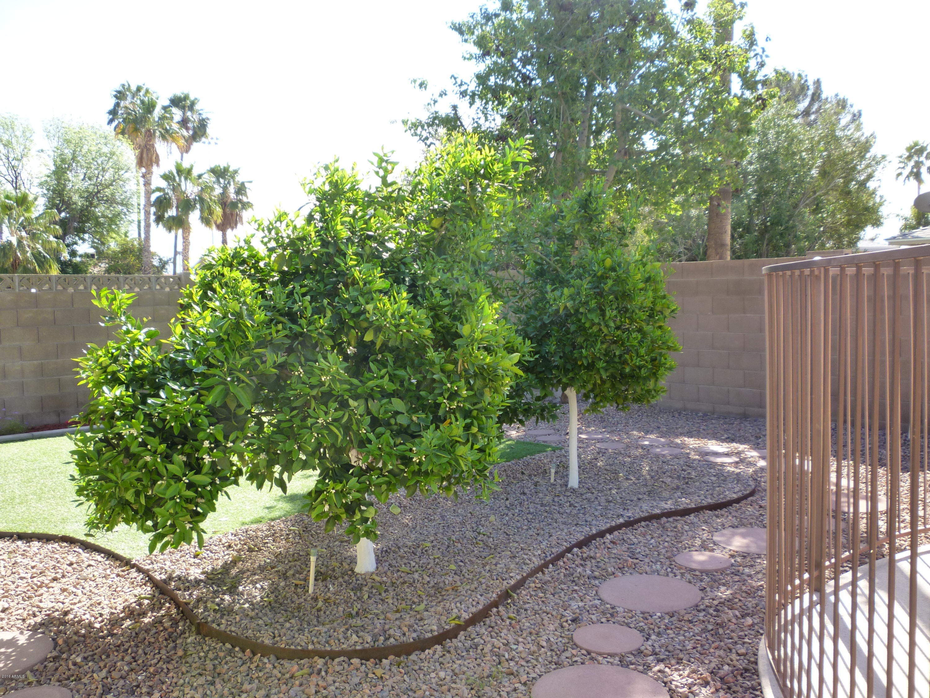 8325 East Valley View Road Scottsdale, AZ 85250 - Photo 33 of 38 33-Backyard