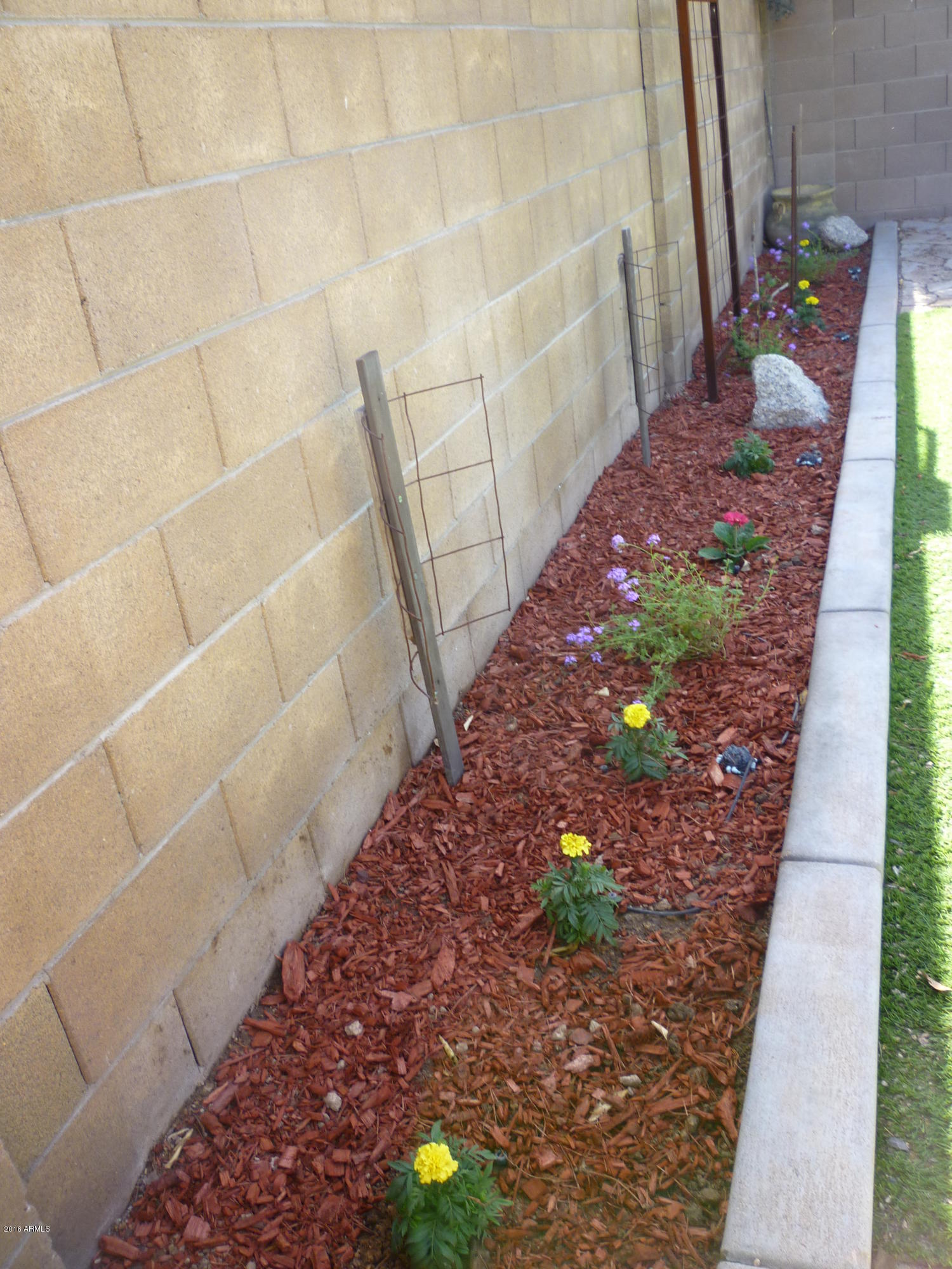 8325 East Valley View Road Scottsdale, AZ 85250 - Photo 37 of 38 37-Backyard5
