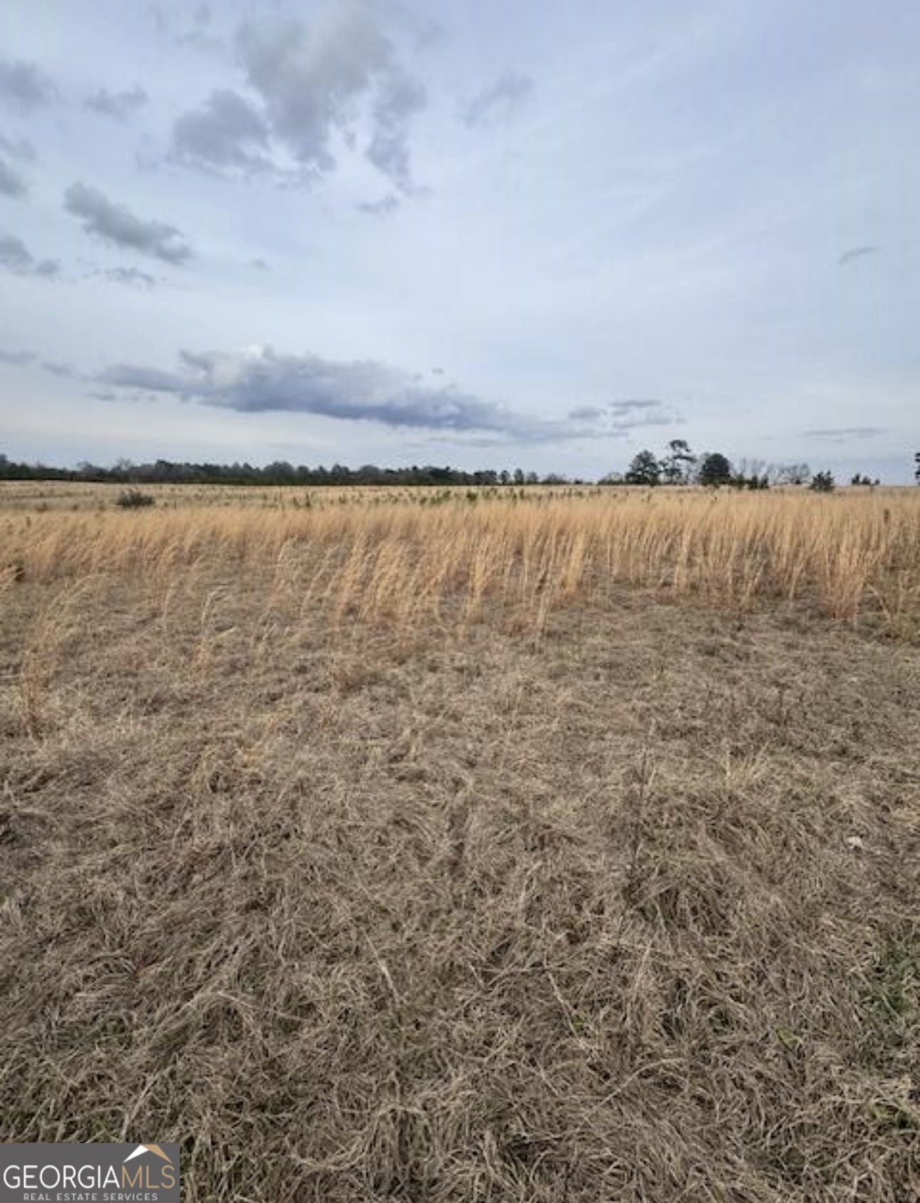 0 Mark Wood Rd (lot 1) Dexter, GA 31019 - Photo 2 of 5 a view of an ocean