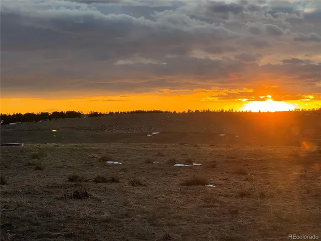 a black and white photo of a park