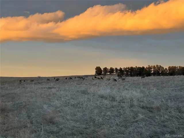 $305,000 | 0 Easygoing Street, Kiowa, CO 80117