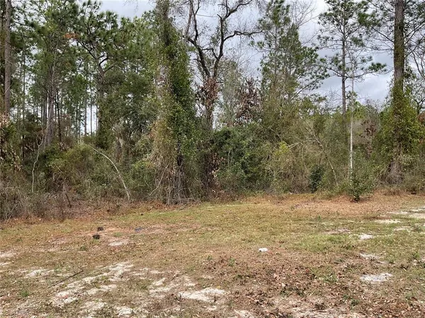 $178,500 | 90 Northeast 132 Terrace, Williston, FL 32696