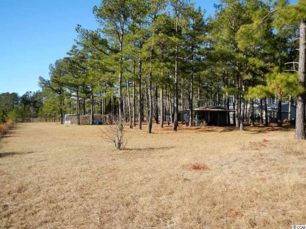 1882 Daisy Road Loris, SC 29569 - Photo 24 of 25 Gallery Image 24