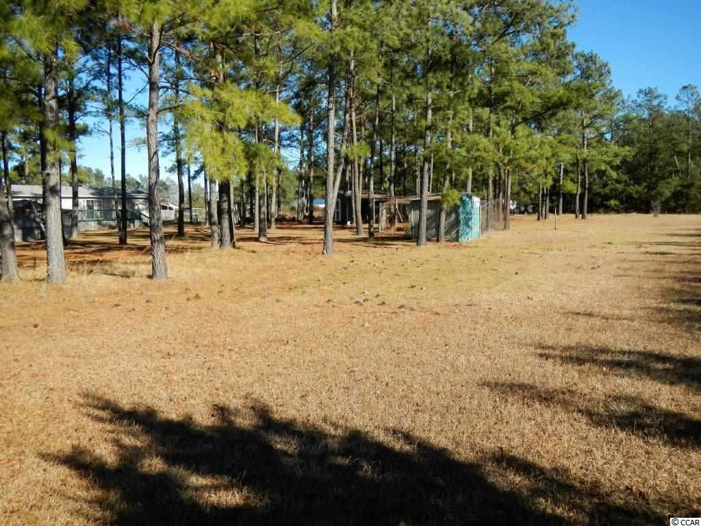 1882 Daisy Road Loris, SC 29569 - Photo 25 of 25 Gallery Image 25