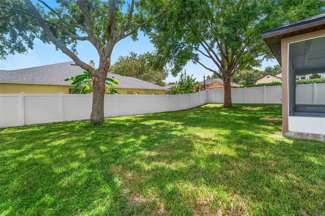 a view of a backyard with a tree