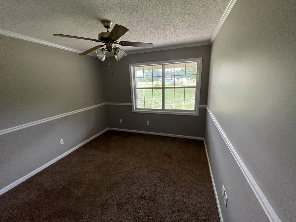 148 Dempsey Road Ashford, AL 36312 - Photo 16 of 34