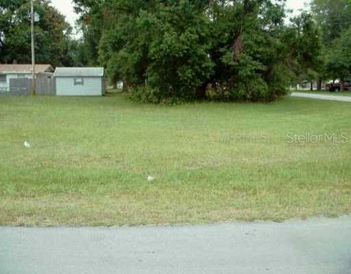 31273 Park Ridge Dr Ridge Manor Brooksville, FL 34602 - Photo 1 of 1 a view of a yard with a tree