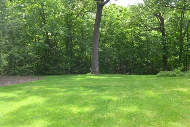 11705 Strathmoore Court Dunlap, IL 61525 - Photo 29 of 35 Gallery Image 29