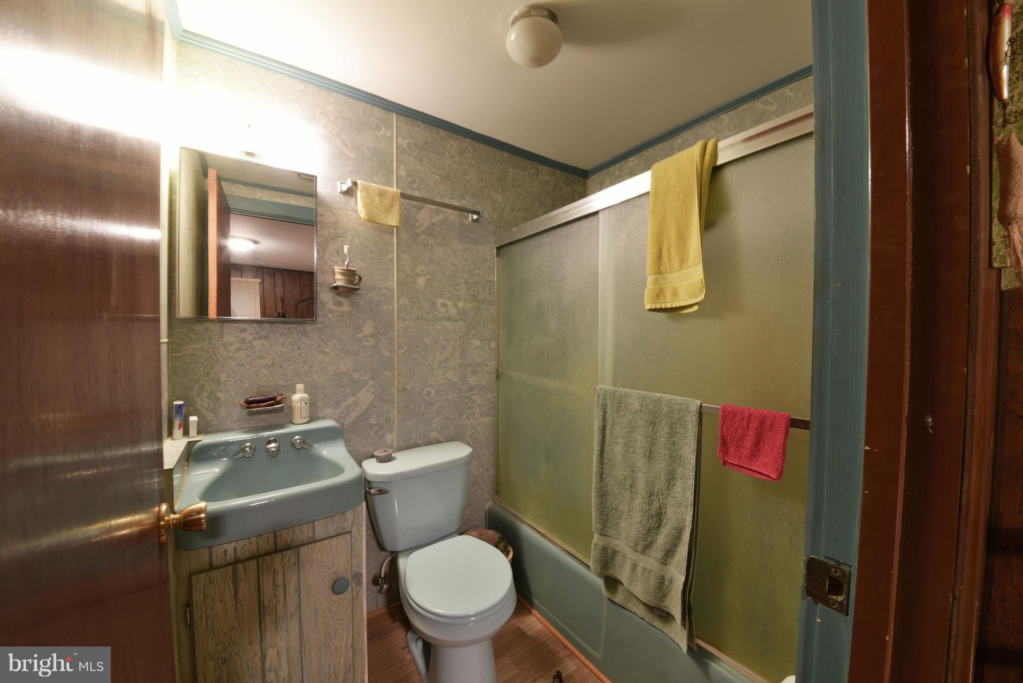 18379 Three Notch Road Lexington Park, MD 20653 - Photo 15 of 16 Bath (Master)